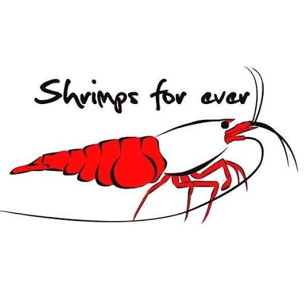 Logo Shrimps Forever